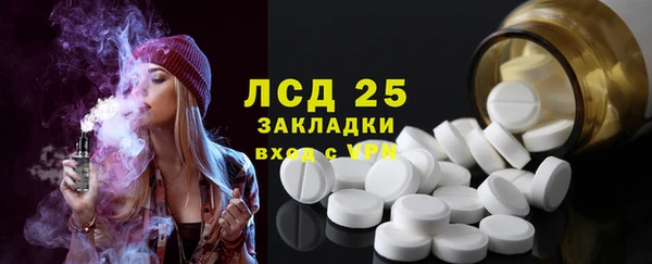 дживик Белокуриха