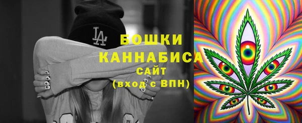 дживик Белокуриха