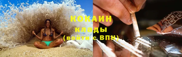 дживик Белокуриха