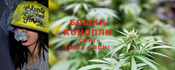 дживик Белокуриха