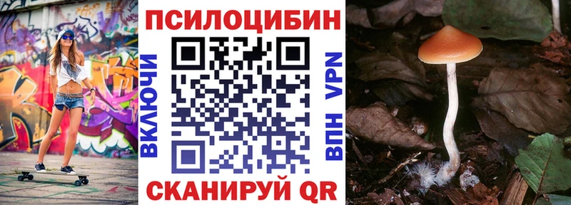 Галлюциногенные грибы мухоморы купить наркотик Горнозаводск
